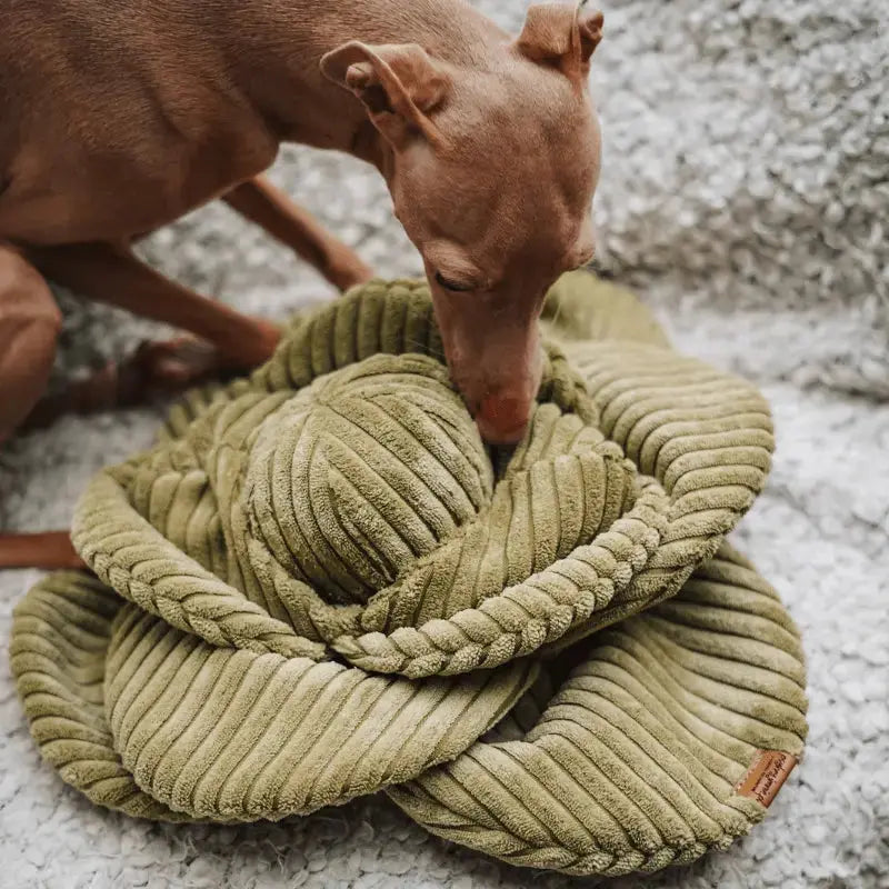 Zabawka węchowa Kapusta psykryj mnie