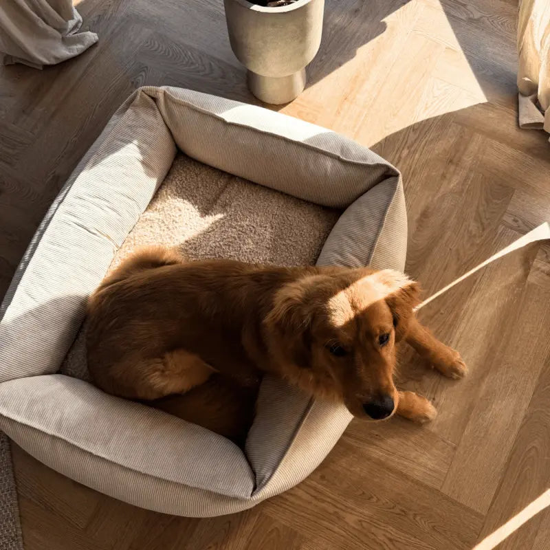 Legowisko Melcia Beżowe psykryj mnie