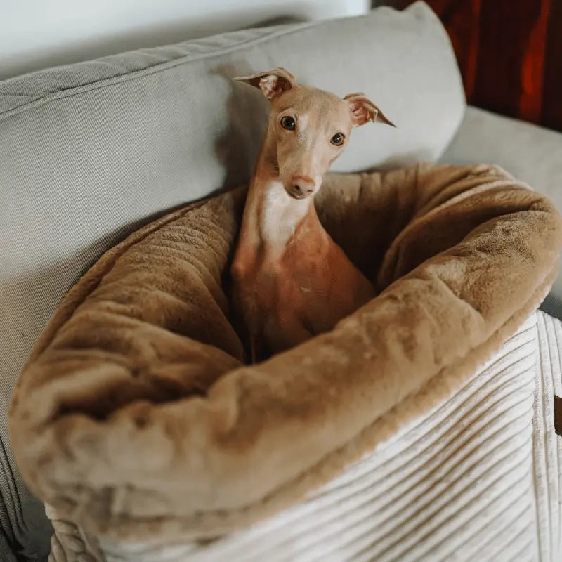 Śpiworek dla psa Psykryjek psykryj mnie