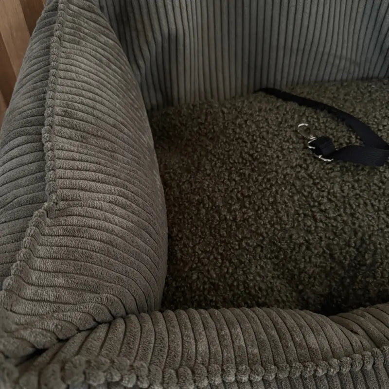 Fotelik do auta dla psa Loki psykryj mnie