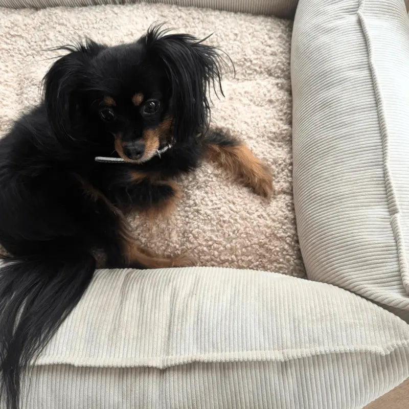 Legowisko Melcia Beżowe psykryj mnie