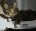 Załaduj obraz do przeglądarki galerii, Drapak dla kota Elipso White House of Cats

