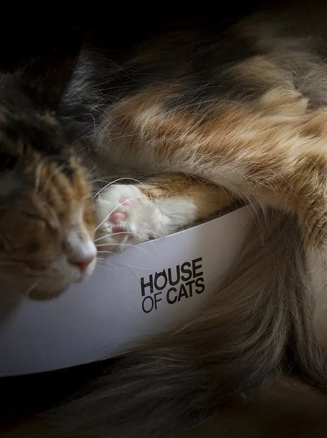 Drapak dla kota Elipso Black & White House of Cats