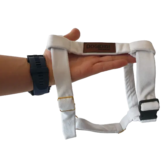 Szelki dla psa GUARD białe DOGIDIGI