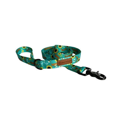 Smycz miejska Dłuuugie podróże psistań