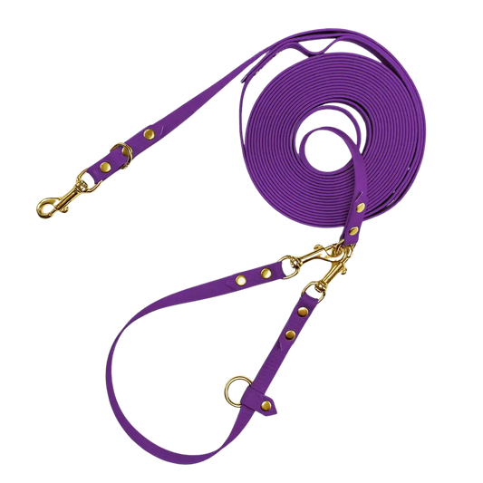 Linka treningowa dla psa z taśmy HEXA, fiolet BURA