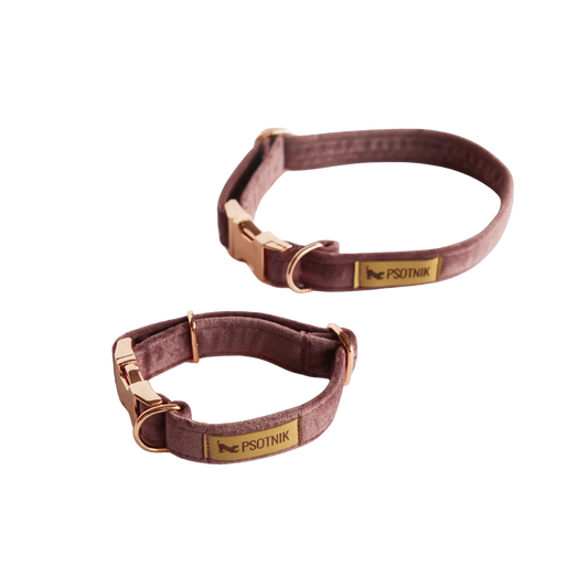 Obroża z klamrą Psotnik wrzos Psotnik