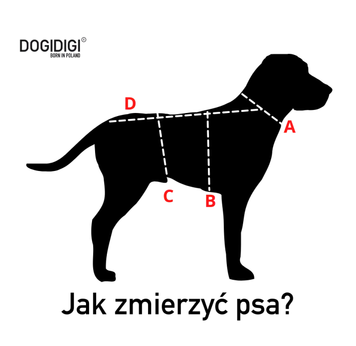 Kurtka zimowa dla psa GOLDENEYE hand made DOGIDIGI