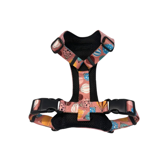 Szelki bezuciskowe Kapsidocja psistań