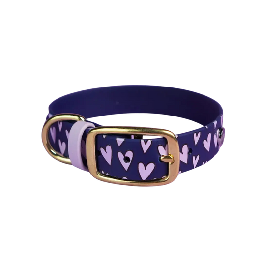 Obroża na sprzączkę dla psa, Serca / granat BURA