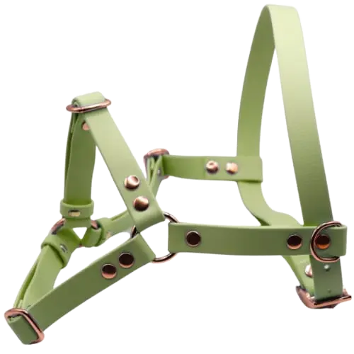 Szelki z regulacją BioThane Pistachio Green Co Collar