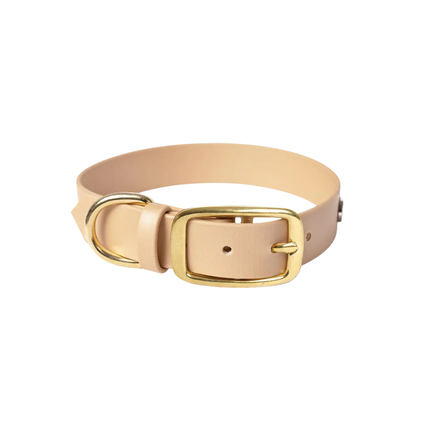 Obroża na sprzączkę dla psa, beżowy / PSInut butter, Psiutti frutti BURA