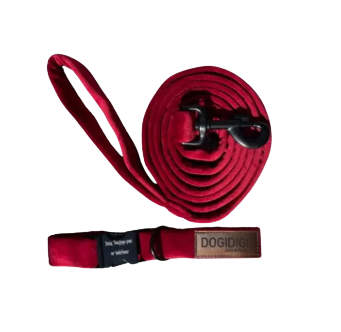 Zestaw obroża + smycz dla psa kolory do wyboru DOGIDIGI