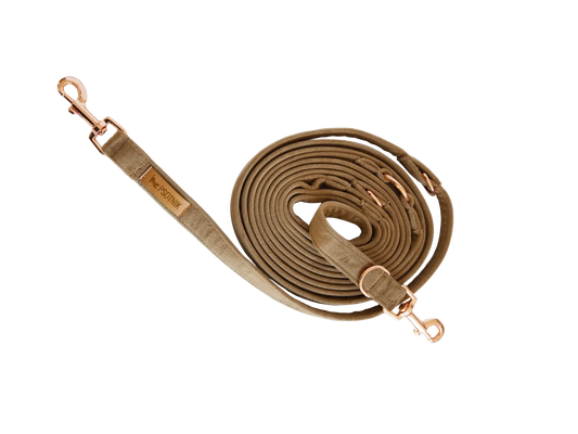 Smycz przepinana Brązowy Psotnik Psotnik