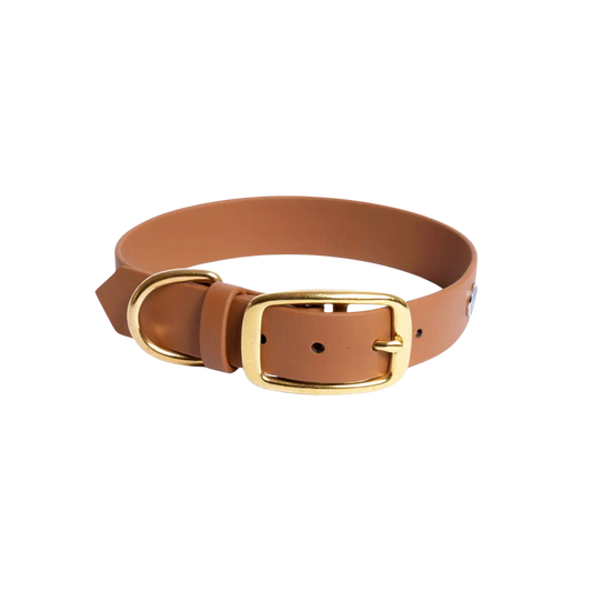 Obroża na sprzączkę dla psa, jasny brąz / dog on the ROCK BURA