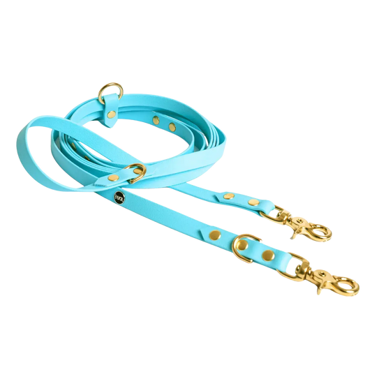 Smycz przepinana multifunkcyjna z Biothane dla psa, błekit / I'm buldog... BURA