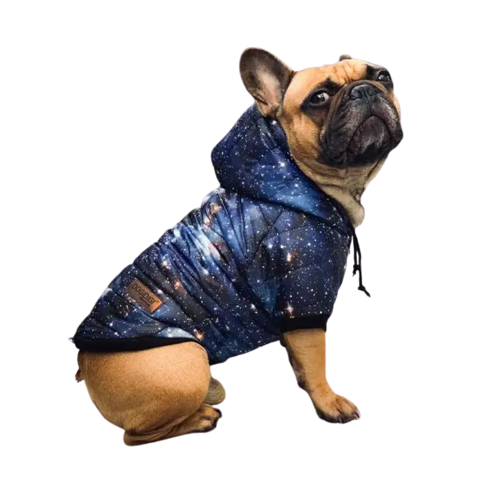 Kurtka dla psa GALAXY DOGIDIGI