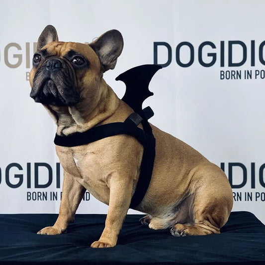 Szelki dla psa Batman DOGIDIGI