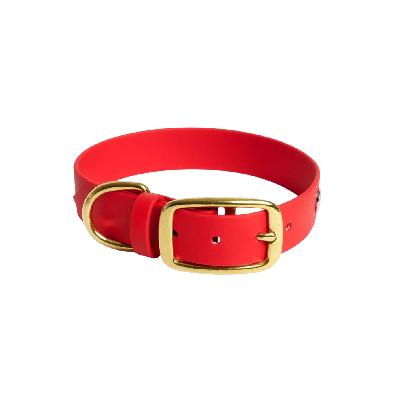 Obroża na sprzączkę dla psa, czerwony / hot DOG BURA