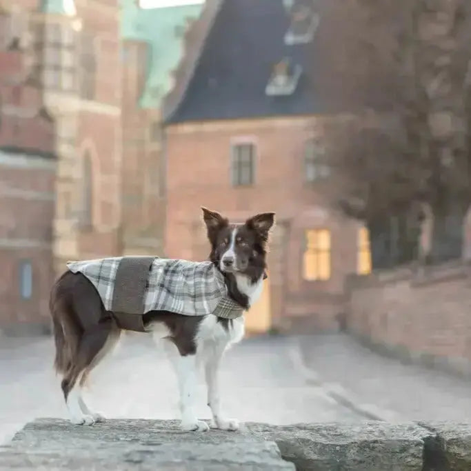 Płaszczyk dla psa LEAF szary Bowl & Bone