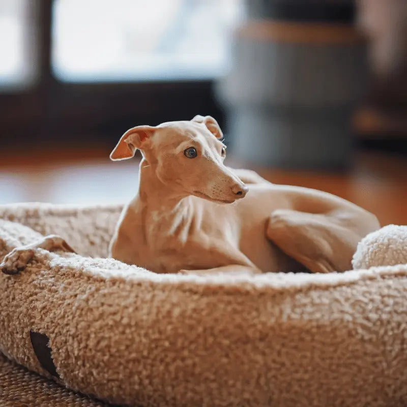 Legowisko Milek psykryj mnie