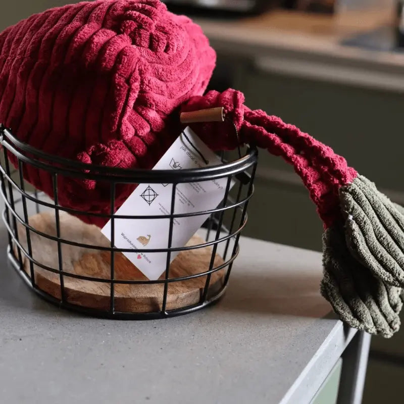 Zabawka węchowa Burak psykryj mnie