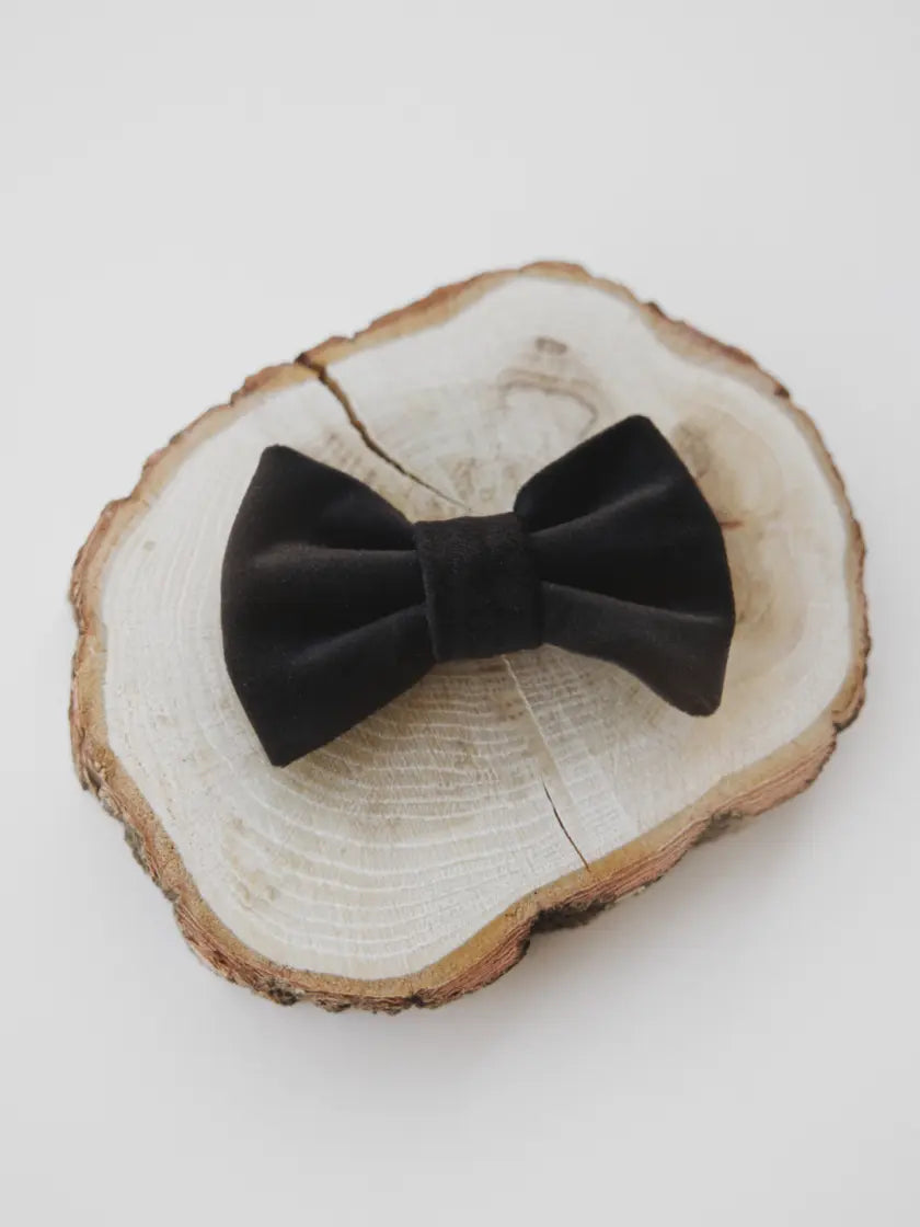 Kokarda czarna Psotnik