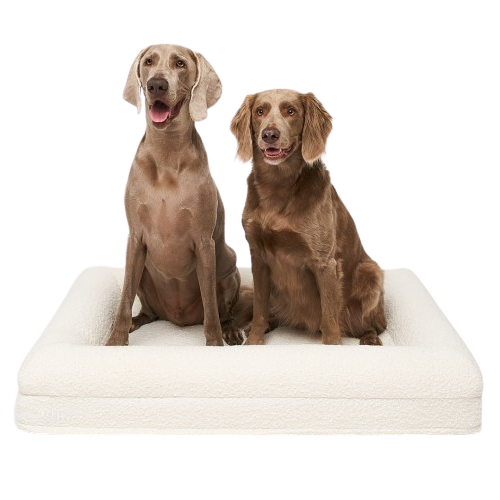 Legowisko ortopedyczne premium boucle LARGE ELIO