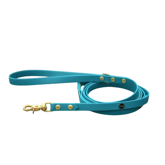 Smycz miejska z Biothane dla psa, turkus / wilk MORSKI BURA