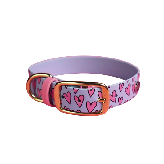 Obroża na sprzączkę dla psa, Serca / pastelowy niebieski BURA