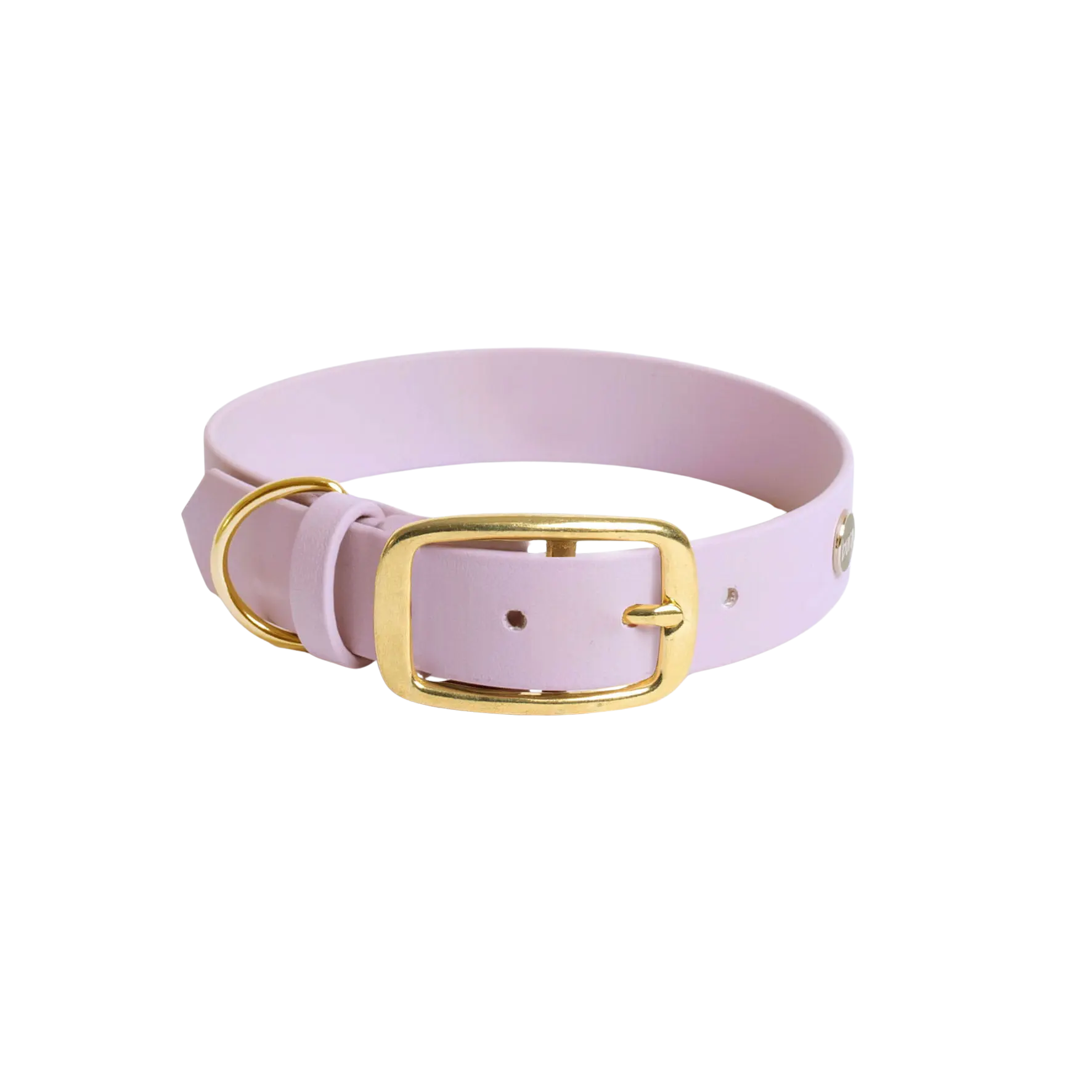 Obroża na sprzączkę dla psa, lilia / time to be Unidog!, YOU're pawsome! BURA