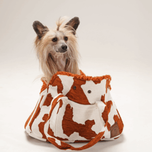 Torba podróżna dla psa Cowzy