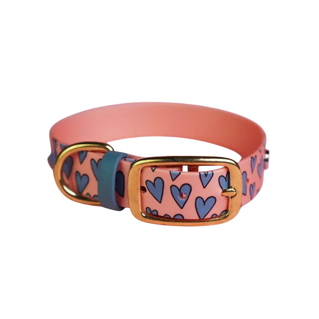 Obroża na sprzączkę dla psa, Serca / łososiowy róż BURA