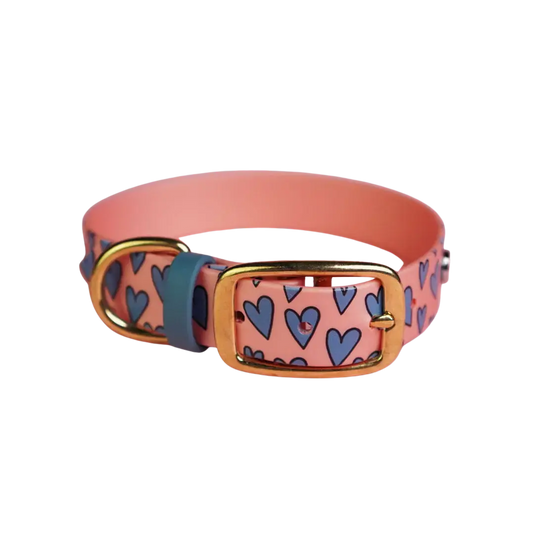 Obroża na sprzączkę dla psa, Serca / łososiowy róż BURA