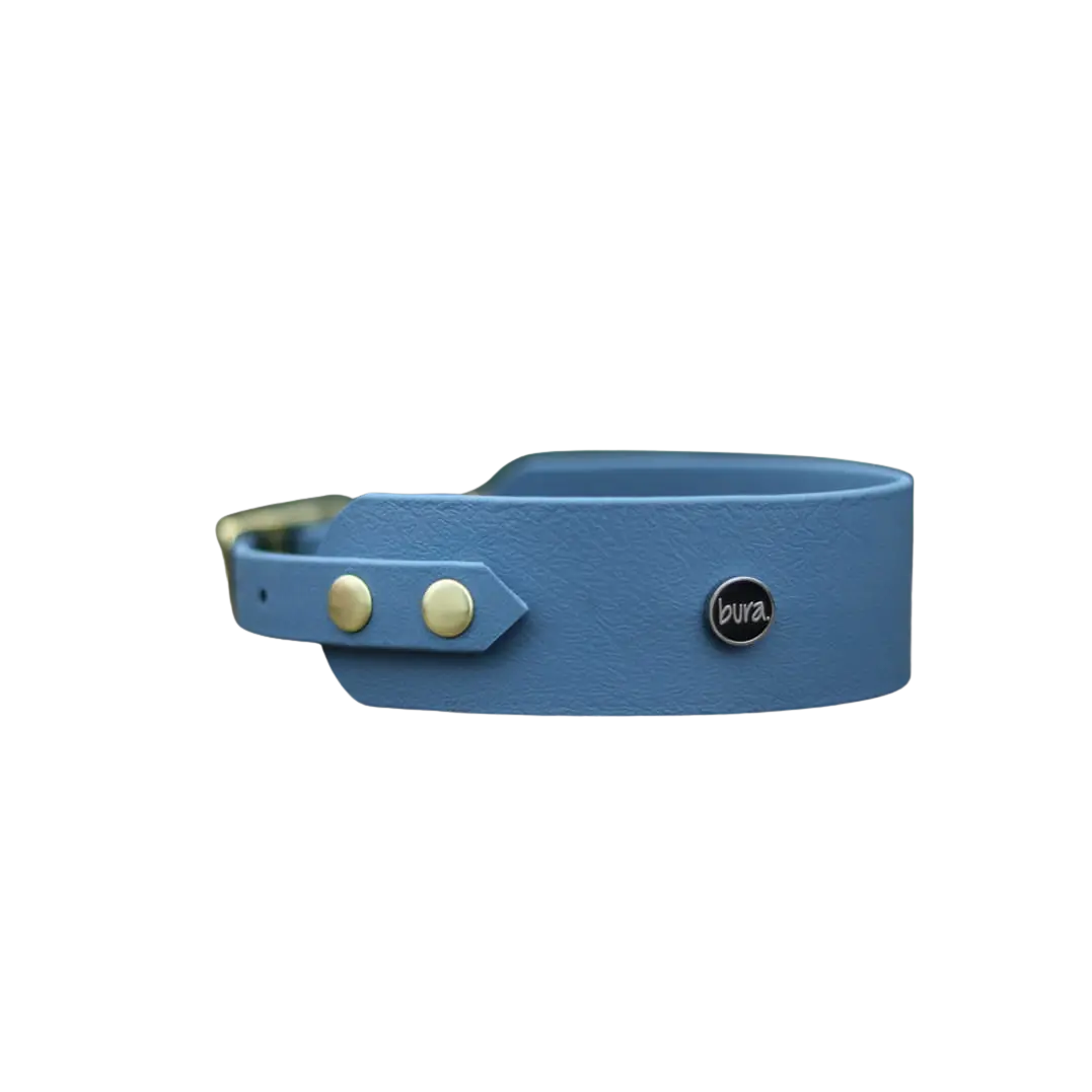 Obroża dla Charta na sprzączkę, denim DOG / blue jeans BURA