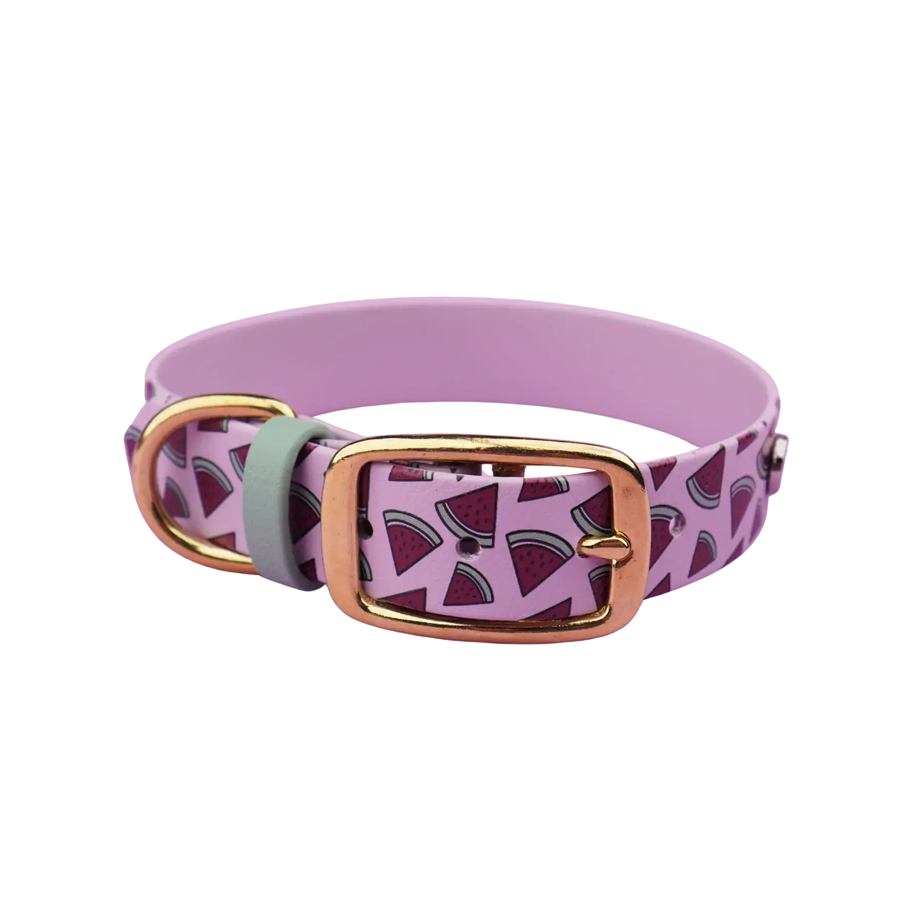 Obroża na sprzączkę dla psa, Arbuziki / lilia BURA