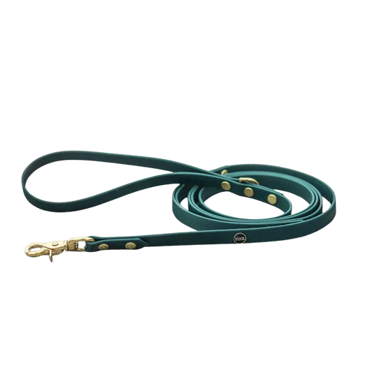 Smycz miejska z Biothane dla psa, butelkowa zieleń / born to be wild... DOG BURA