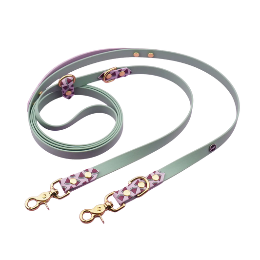 Smycz przepinana multifunkcyjna z Biothane dla psa, Arbuziki / szałwiowy, bordo BURA