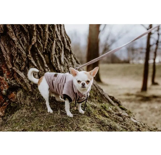 Smycz dla psa Pink Velvet DOGIDIGI