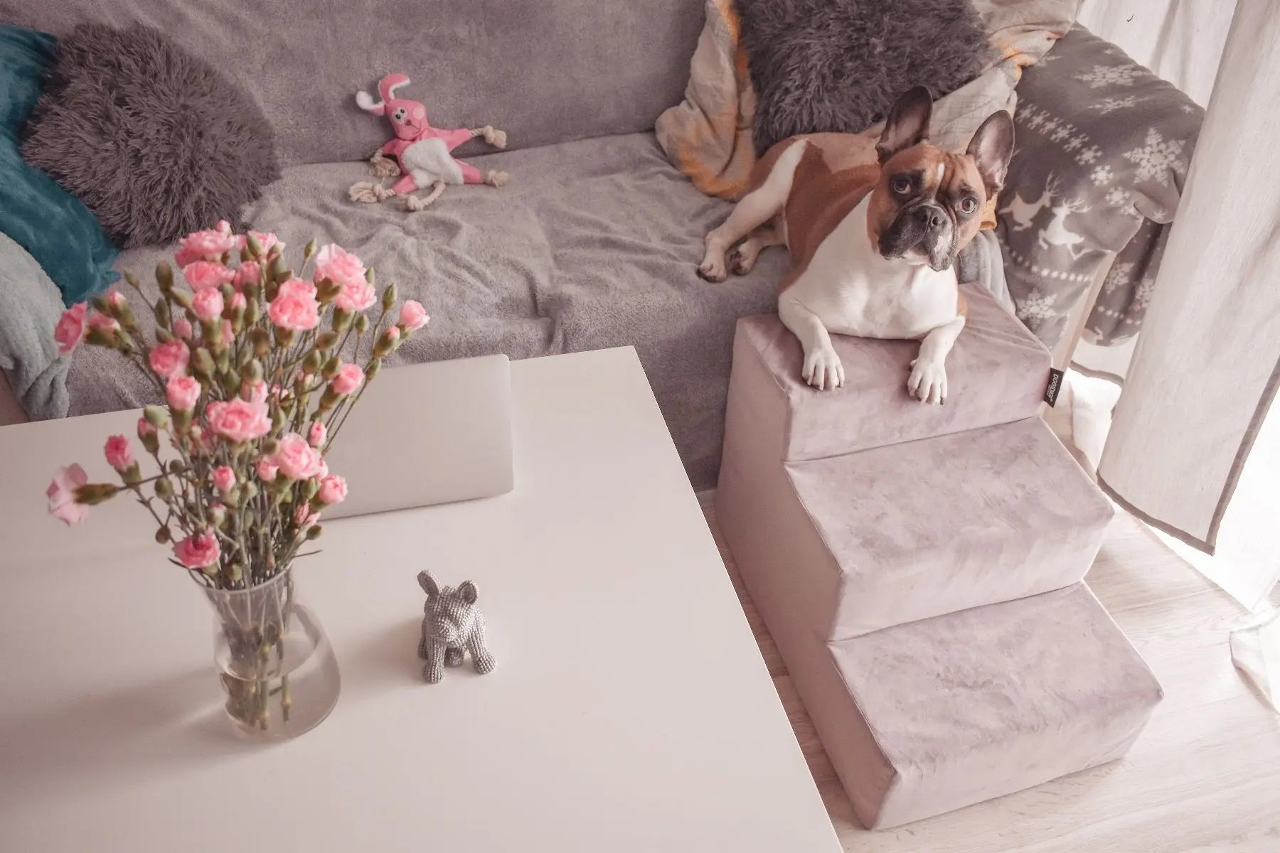 Schodki dla psa - kolor do wyboru DOGIDIGI