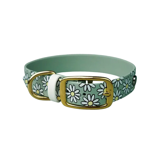 Obroża na sprzączkę dla psa, Stokrotki / szałwiowy BURA