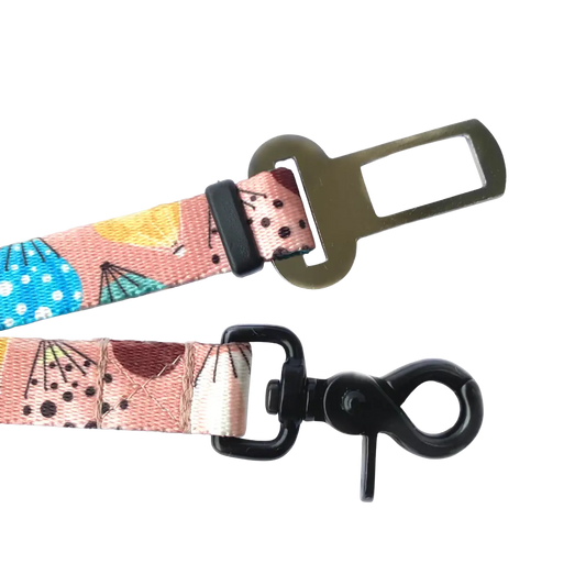 Pas bezpieczeństwa Kapsidocja psistań