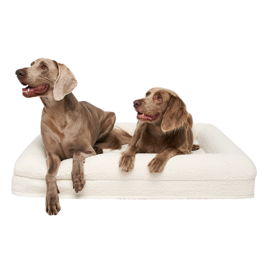 Legowisko ortopedyczne premium boucle LARGE