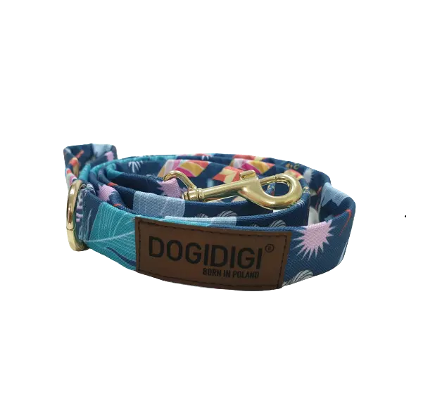Smycz dla psa "Festiwal Kolorów" DOGIDIGI