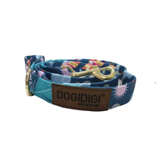 Smycz dla psa "Festiwal Kolorów" DOGIDIGI