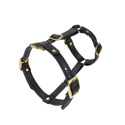 Szelki "Caviar" w kolorze czarnym