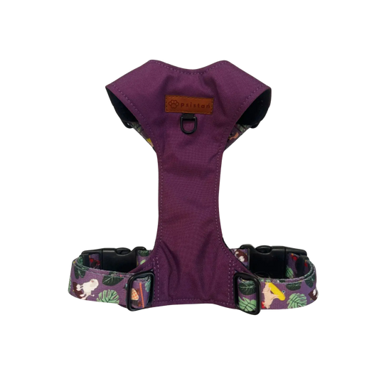 Szelki bezuciskowe Pieski na deski psistań