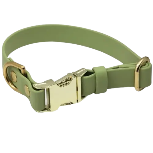 Obroża na klamrę BioThane Pistachio Green Co Collar