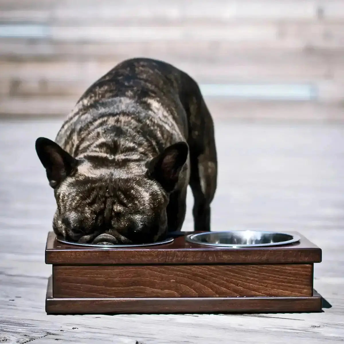 Miska dla psa GRANDE biała Bowl & Bone