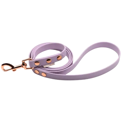 Smycz BioThane Pastel Purple Co Collar